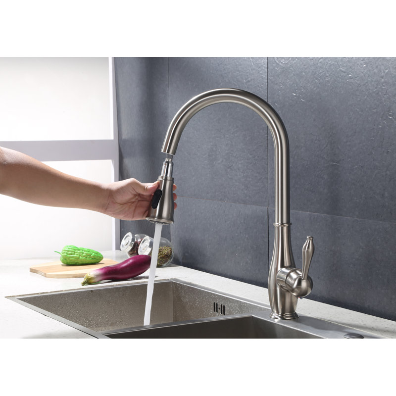 Vanity Art Pull Down Kitchen Faucet & Reviews | Wayfair